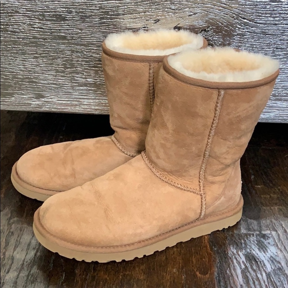classic short chestnut UGG boots
